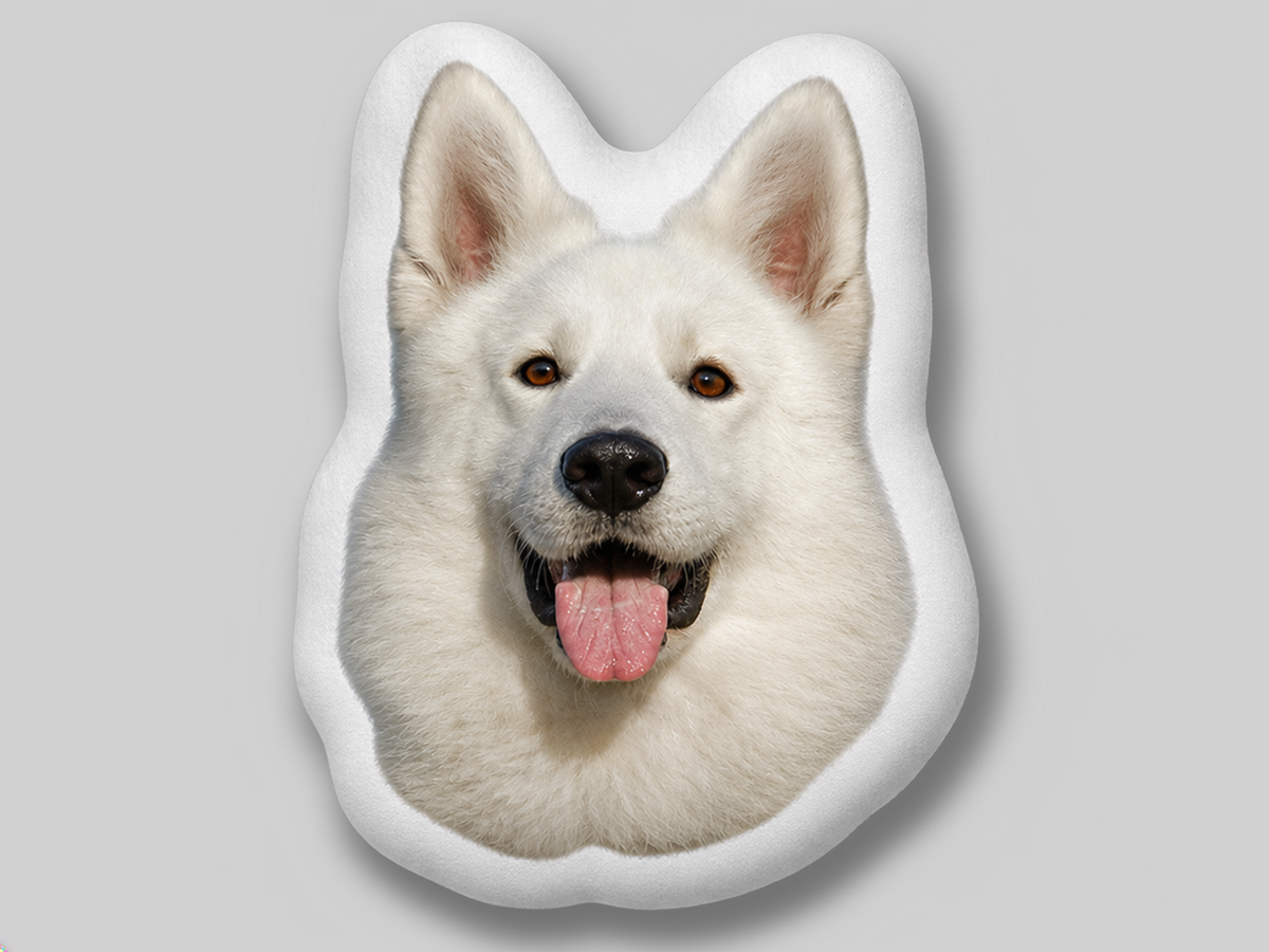 Custom shape pillow