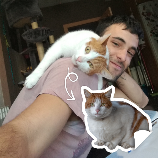 Cat Full-Body Sticker – A Must-Have for Cat Lovers!