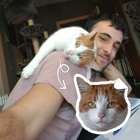 Cat Face Sticker – Perfect for Cat Obsessed Fans! 