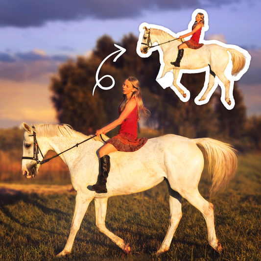 Horse Full-Body Sticker – For True Horse Enthusiasts!