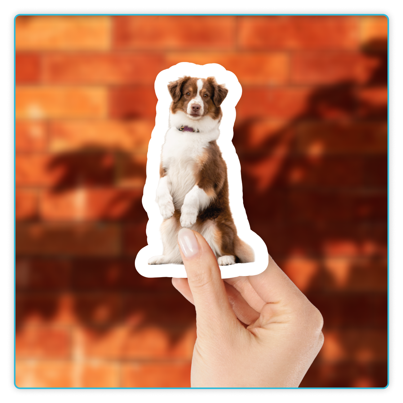 Custom Body Stickers