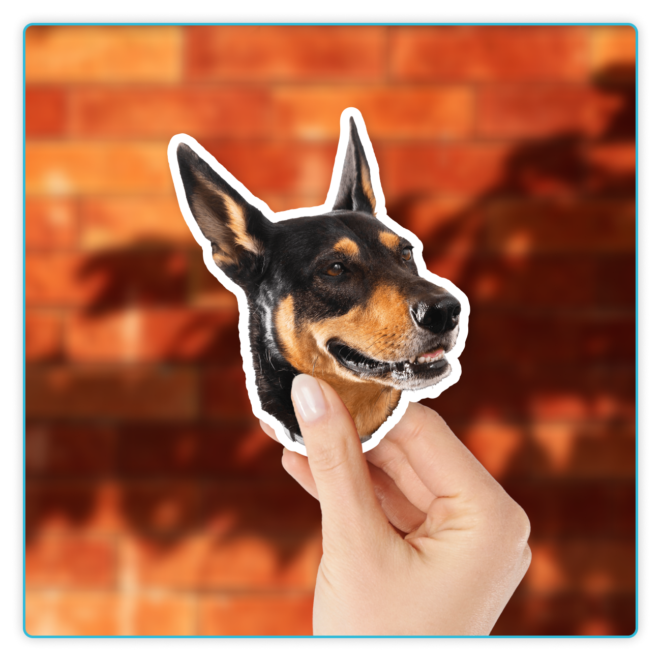 Custom Face Stickers